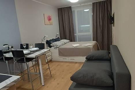 1-комнатная квартира в Парголове, Толубеевский пр-д, 8к2, м. Парнас