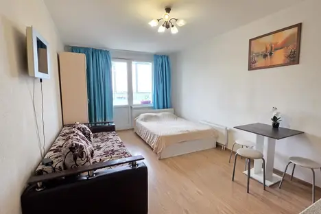 1-комнатная квартира в Санкт-Петербурге, пр-кт Энергетиков, 11к2