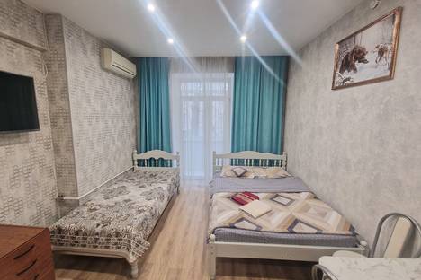 1-комнатная квартира в Москве, Автозаводская ул., 17к1, м. Автозаводская