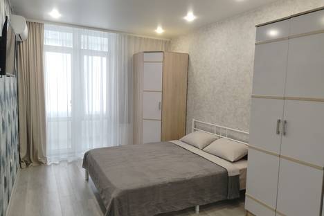 Однокомнатная квартира в аренду посуточно в Краснодаре по адресу б-р Адмирала Пустошкина, 11кБ