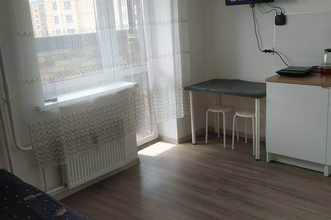 Однокомнатная квартира в аренду посуточно в Парголове по адресу Толубеевский пр-д, 40