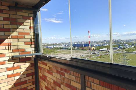 1-комнатная квартира в Парголове, Толубеевский пр-д, 40
