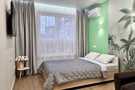 1-комнатная квартира в Хабаровске, Батарейный пер., 1 1-комнатная квартира в Хабаровске, Батарейный пер., 1