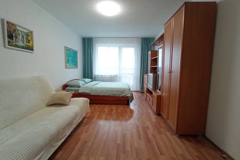 1-комнатная квартира в Екатеринбурге, Билимбаевская ул., 25к2