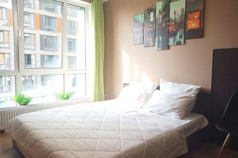 1-комнатная квартира в Парголове, Толубеевский пр-д, 8к2, м. Парнас 1-комнатная квартира в Парголове, Толубеевский пр-д, 8к2, м. Парнас