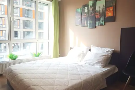 1-комнатная квартира в Парголове, Толубеевский пр-д, 8к2, м. Парнас