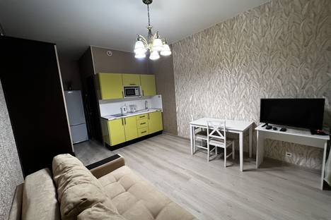 Однокомнатная квартира в аренду посуточно в Москве по адресу Мишина ул., 34к1, метро Петровский парк