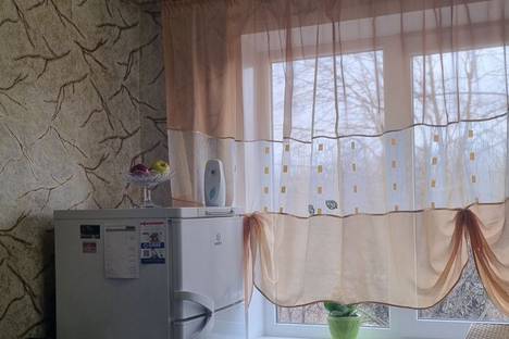 Однокомнатная квартира в аренду посуточно в Луганске по адресу ул. 30-летия Победы, 19