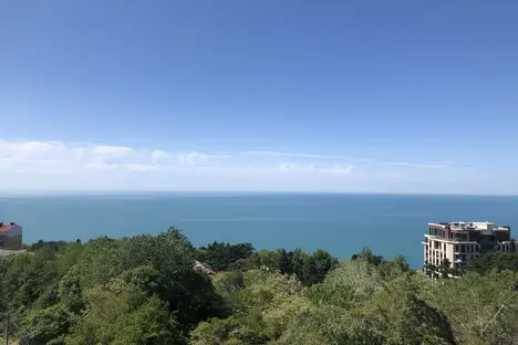 1-комнатная квартира в Сочи, Сочи, Курортный пр-кт, 96/4