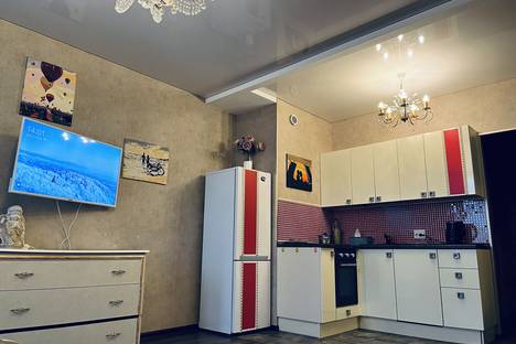 Однокомнатная квартира в аренду посуточно в Санкт-Петербурге по адресу пр-кт Просвещения, 43
