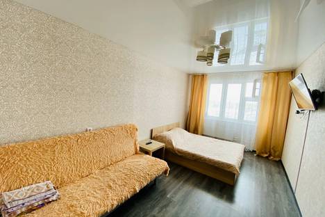 Двухкомнатная квартира в аренду посуточно в Новосибирске по адресу ул. Виктора Уса, 7
