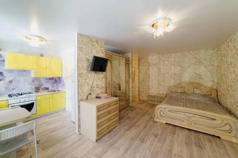 1-комнатная квартира в Нижнем Новгороде, ул. Коминтерна, 176