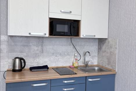 1-комнатная квартира в Новосибирске, Большевистская ул., 35, м. Речной вокзал