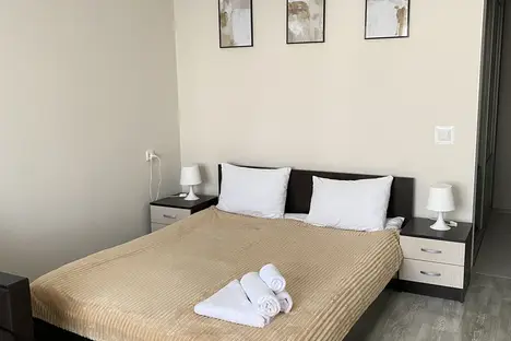 1-комнатная квартира в Новосибирске, ул. Гоголя, 26, м. Сибирская