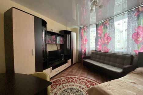Однокомнатная квартира в аренду посуточно в Калининграде по адресу Флотская ул., 9