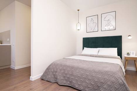 1-комнатная квартира в Казани, пр-кт Ибрагимова, 61, м. Козья Слобода