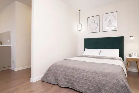 1-комнатная квартира в Казани, пр-кт Ибрагимова, 61, м. Козья Слобода