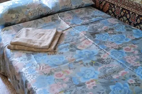 1-комнатная квартира в Нижнем Новгороде, Студенческая ул., 19 1-комнатная квартира в Нижнем Новгороде, Студенческая ул., 19