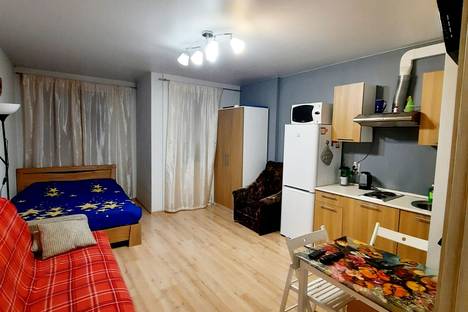 1-комнатная квартира в Санкт-Петербурге, ул. Вадима Шефнера, 10к1
