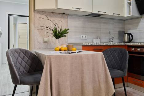 1-комнатная квартира в Шушарах, Переведенская ул., 6Б