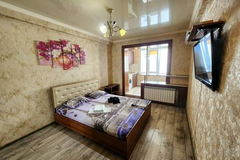 Однокомнатная квартира в аренду посуточно в Пятигорске по адресу ул. Орджоникидзе, 11к1