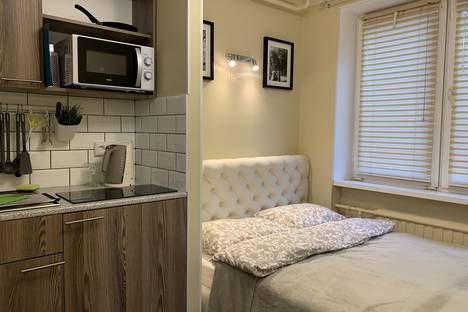 Однокомнатная квартира в аренду посуточно в Санкт-Петербурге по адресу ул. Академика Байкова, 11к2