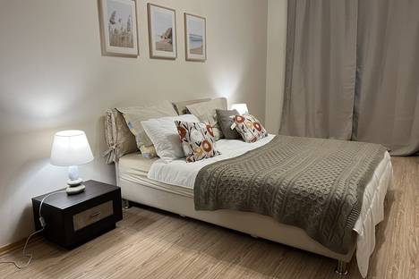 Двухкомнатная квартира в аренду посуточно в Санкт-Петербурге по адресу Волховский пер., 4, метро Василеостровская