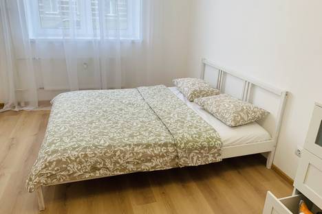 1-комнатная квартира в поселке Песочном, Садовая ул., 85