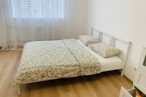 1-комнатная квартира в поселке Песочном, Садовая ул., 85