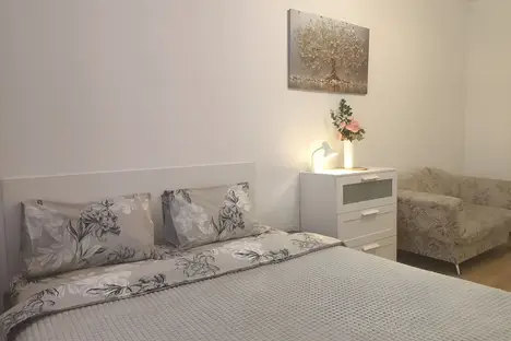 1-комнатная квартира в поселке Песочном, Садовая ул., 85