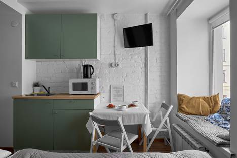 Однокомнатная квартира в аренду посуточно в Санкт-Петербурге по адресу Невский пр-кт, 139, метро Площадь Александра Невского-II