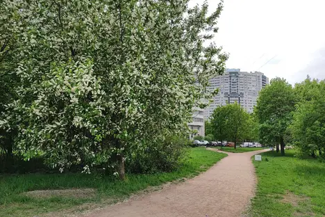 1-комнатная квартира в Санкт-Петербурге, Санкт-Петербург, ул. Шелгунова, 9к1, м. Пролетарская