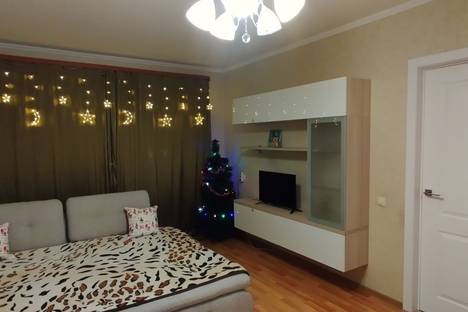 1-комнатная квартира в Санкт-Петербурге, Санкт-Петербург, ул. Олеко Дундича, 40