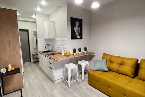 Однокомнатная квартира в аренду посуточно в Сочи по адресу садоводческое товарищество Лысая Гора, 249А