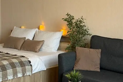 1-комнатная квартира в Нижнем Новгороде, б-р Мира, 7