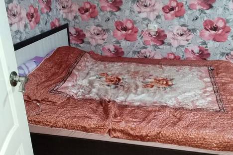 1-комнатная квартира в Воронеже, пр-кт Труда, 29