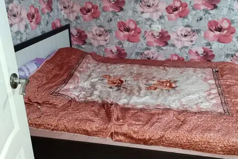 1-комнатная квартира в Воронеже, пр-кт Труда, 29