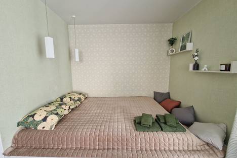 1-комнатная квартира в Казани, ул. Нурсултана Назарбаева, 15, м. Суконная Слобода