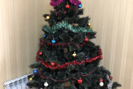 2-комнатная квартира в Кисловодске, ул. Шаумяна, 30