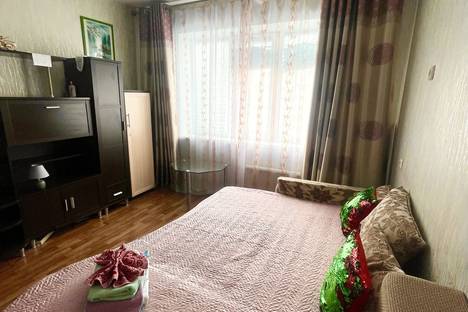 1-комнатная квартира в Новосибирске, Спортивная ул., 3