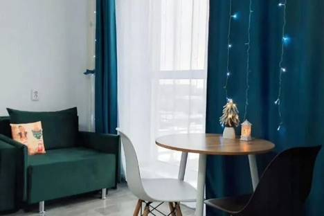 1-комнатная квартира в Челябинске, ул. Блюхера, 123Д