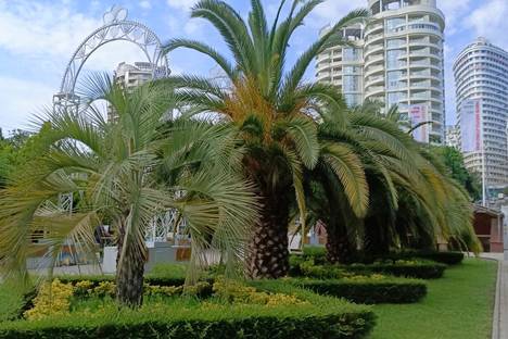 1-комнатная квартира в Сочи, Сочи, мкр. Центральный, Нагорная ул., 12