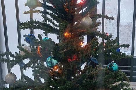 1-комнатная квартира в Новосибирске, Большевистская ул., 32/1