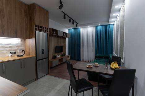 Двухкомнатная квартира в аренду посуточно в Тбилиси по адресу ул. Ш. Надирашвили, 28