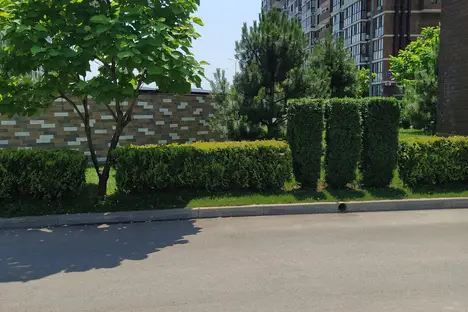 1-комнатная квартира в Анапе, ул.Анапское ш. 24к1