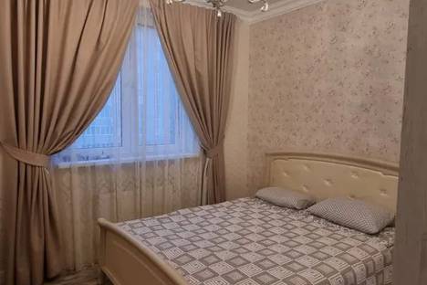 Двухкомнатная квартира в аренду посуточно в Казани по адресу ул. Сибгата Хакима, 50