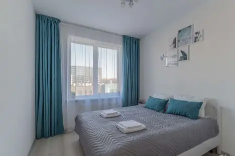 1-комнатная квартира в Санкт-Петербурге, Торфяная дор., 15к1, м. Старая Деревня