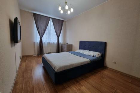 Однокомнатная квартира в аренду посуточно в Санкт-Петербурге по адресу наб. реки Смоленки, 3к1