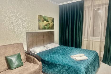 1-комнатная квартира в Котельниках, ул. Строителей, 5