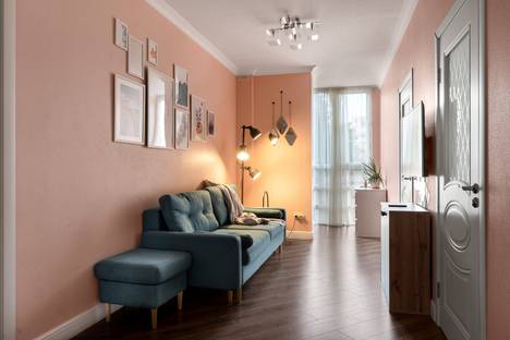 Трёхкомнатная квартира в аренду посуточно в Санкт-Петербурге по адресу ул. Черняховского, 25, метро Лиговский проспект
